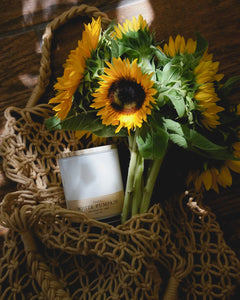 Apothecary Collection - White Pumpkin Seasonal - ROOTE - Apothecary Collection