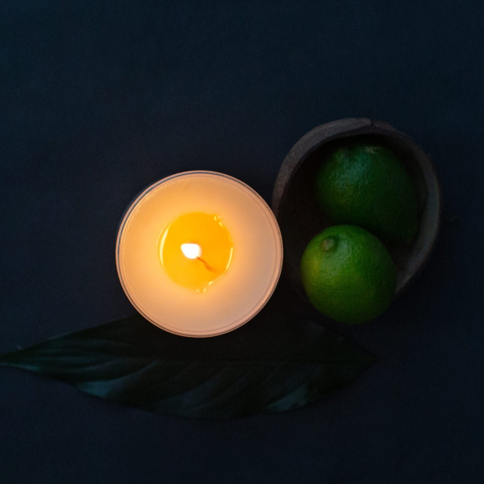 Coconut and Lime Soy Candle - ROOTE - Apothecary Collection