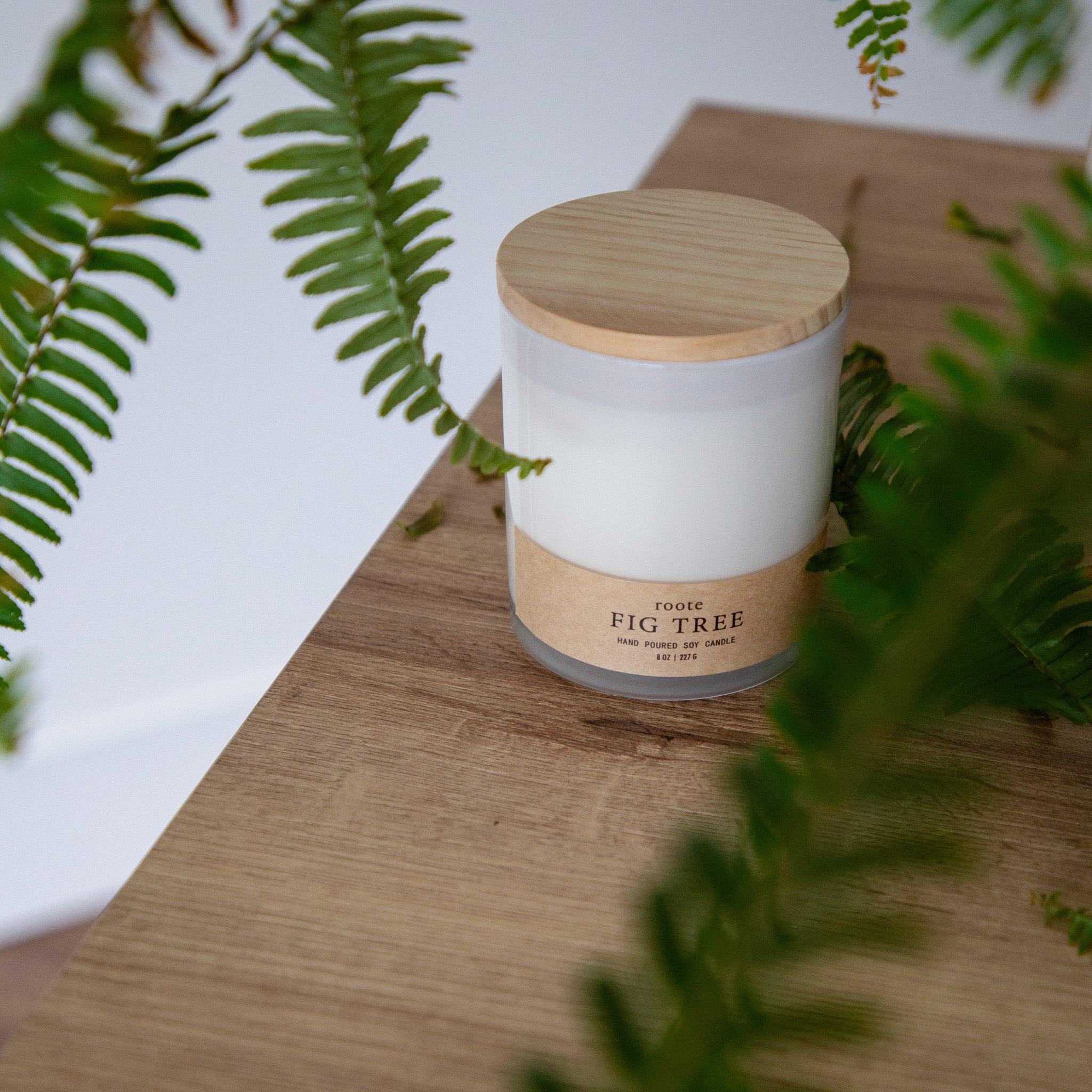 Fig Tree Soy Candle - ROOTE - Apothecary Collection